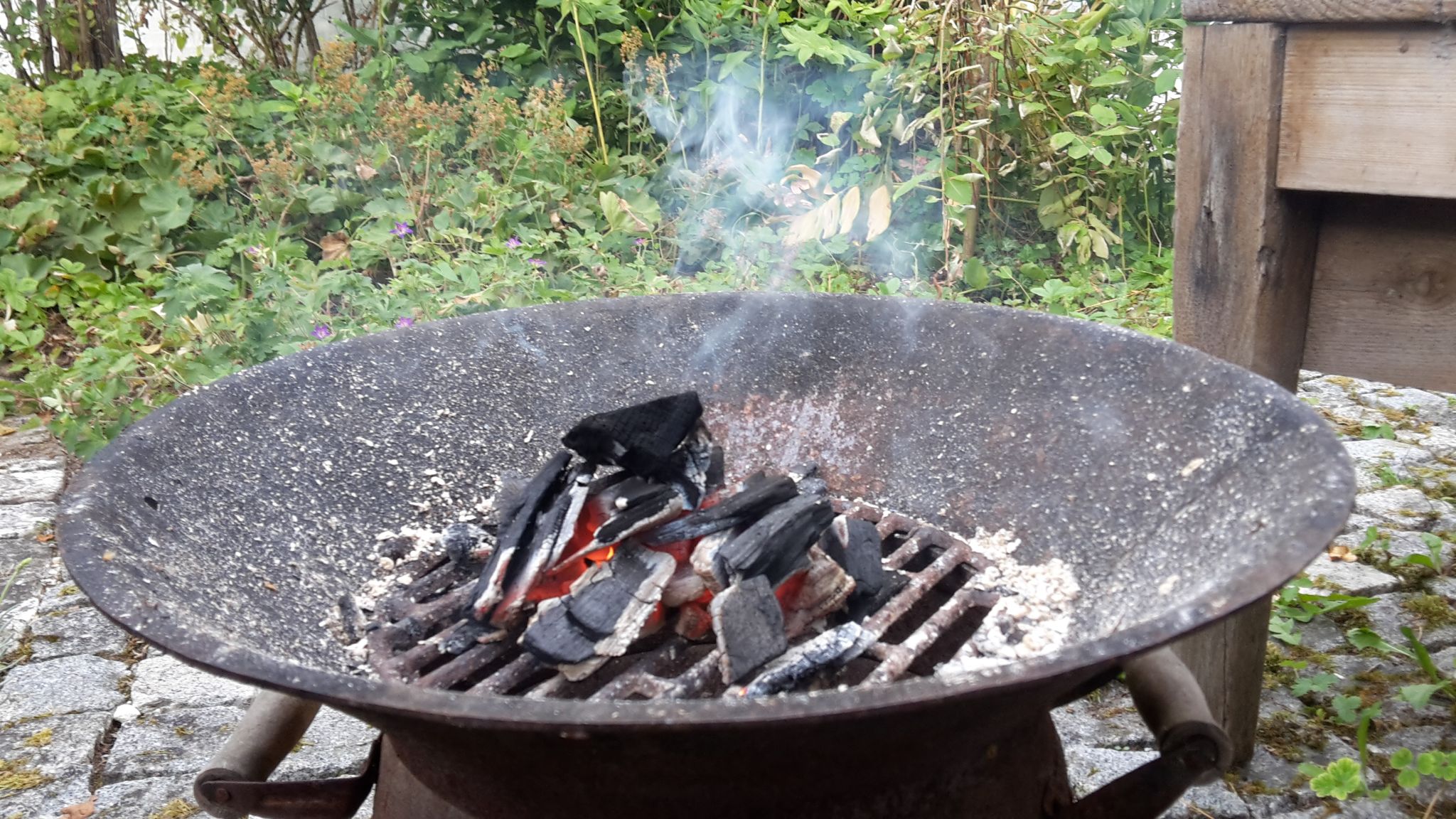 2_8_Grillen-im-Freien.jpg